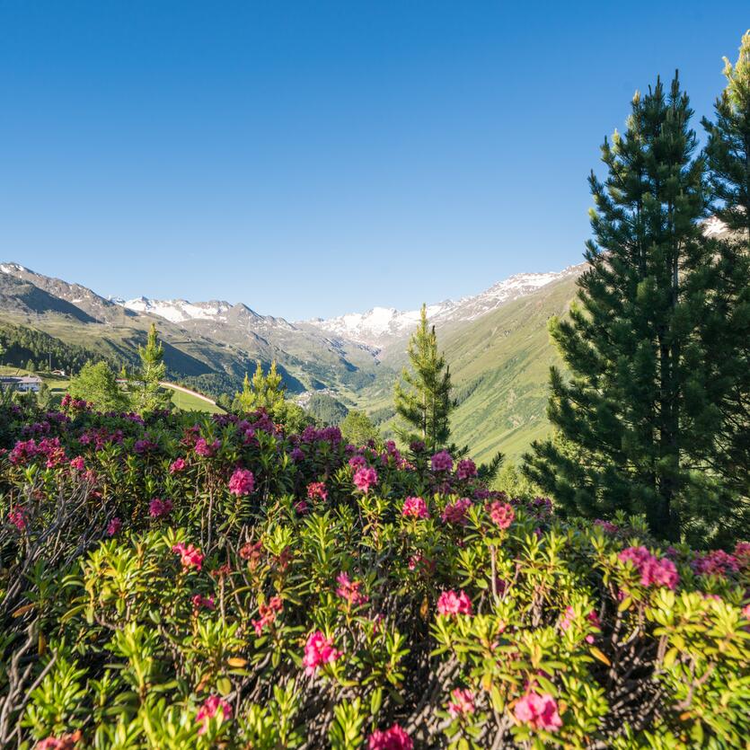 Scheiber Sport stores in summer in Obergurgl | © Scheiber Sport